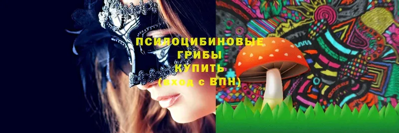 Псилоцибиновые грибы MAGIC MUSHROOMS  где найти наркотики  Бор 