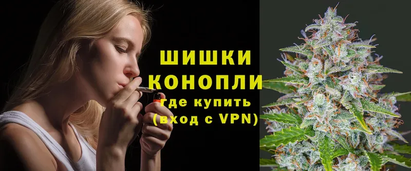 Каннабис OG Kush  Бор 